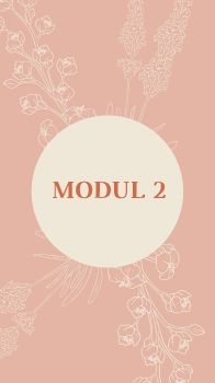 modul 2