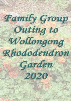 Rhododendron Garden