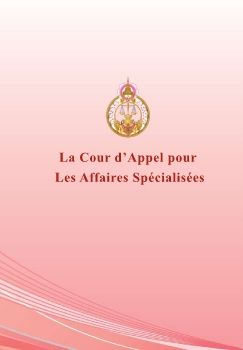 The Court of Appeal for Specialized Cases_france