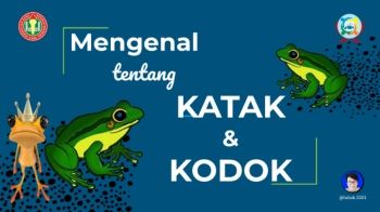Mengenal Katak dan Kodok