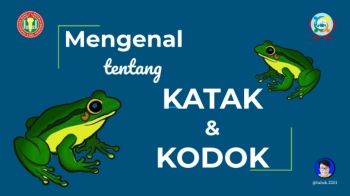Mengenal Katak dan Kodok