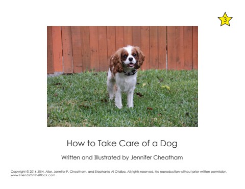 How To Take Care of a Dog