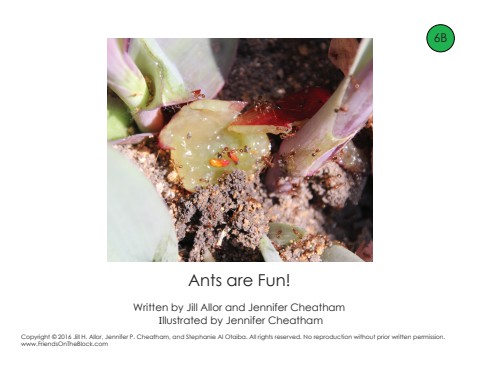 Ants Are Fun