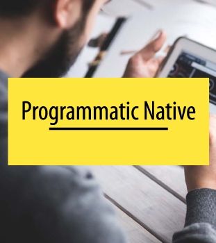 ProgrammaticNative LMS WL