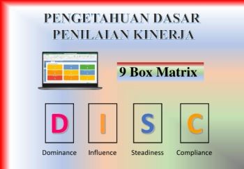 9 Box Matrix & DISC