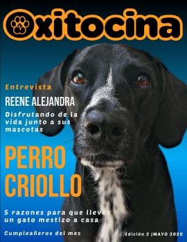 Revista Digital Oxitocina Magazine edición Mayo.