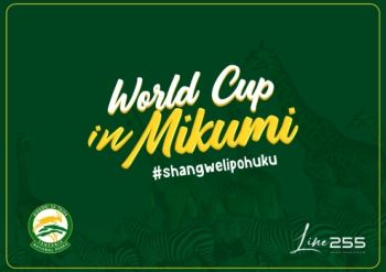 World Cup in Mikumi Proposal