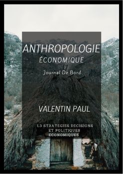 journal anthropologie Valentin PAUL L3