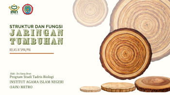 Struktur dan Fungsi Jaringan Tumbuhan