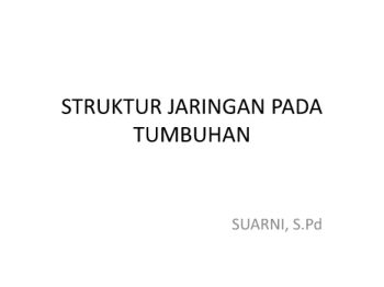 STRUKTUR JARINGAN PADA TUMBUHAN