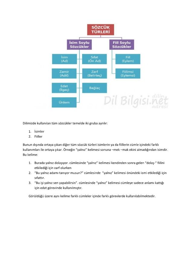 Dilimizde kullanılan tüm sözcükler temelde iki gruba ayrılır