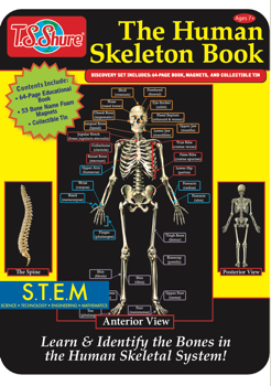 The Human Skeleton Book 