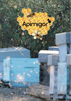 APIMIGOR PT