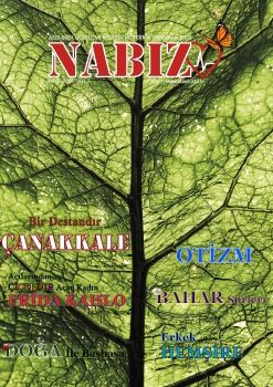 NABIZ 3