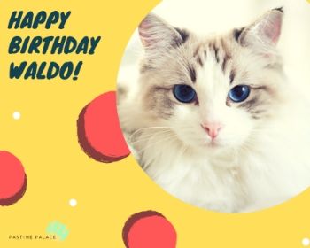 HB Waldo PDF