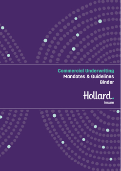 Policy Wording - Hollard Business Binder (2020-08-26)