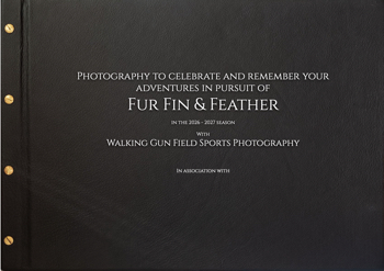 Walking Gun Photography - Photography Services 2026:7