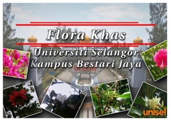 Flora Khas Universiti Selangor Kampus Bestari Jaya