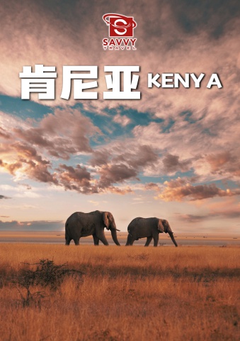 SERIES TOUR (KENYA)