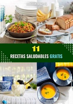 340 RECETAS SALUDABLES PARA LA VIDA PDF GRATIS