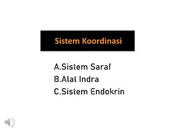 Sistem Koordinasi