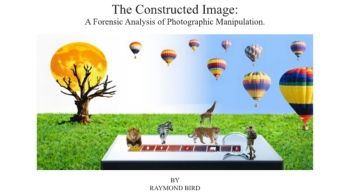 The Constructed image