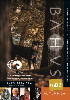 Autumn 26