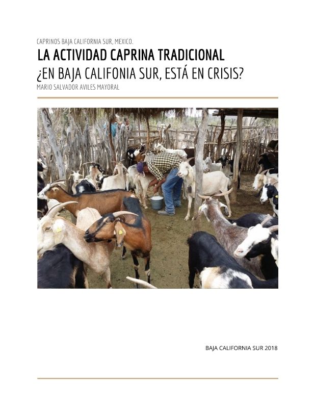 ACTIVIDAD CAPRINA TRADICIONAL EN BAJA CALIFORNIA SUR EN CRISIS