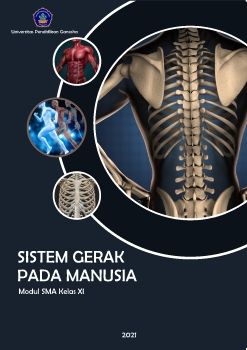 SISTEM GERAK PADA MANUSIA