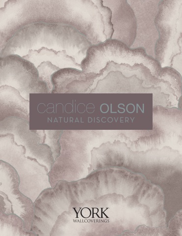 Candice Olson Natural Discovery Catalog