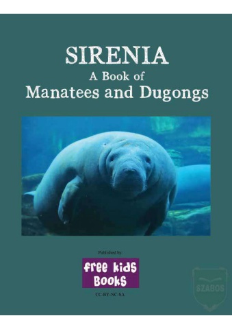 serenia_flipbook