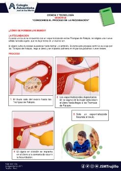 CONTENIDO UNIDAD 03 y 04