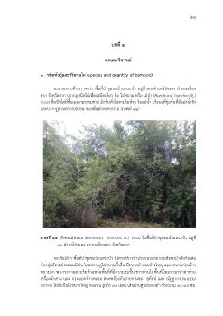 คำใส_บท 4-5
