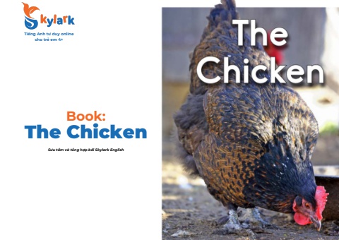 The Chicken
