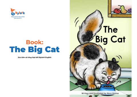 Book The big cat