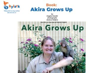 Book: Akira Grows Up