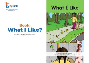 Book: What I Like?