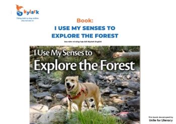 Book: I Use My Senses to Explore the Forest