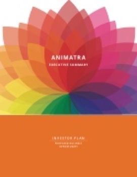 Animatra Executve Summary
