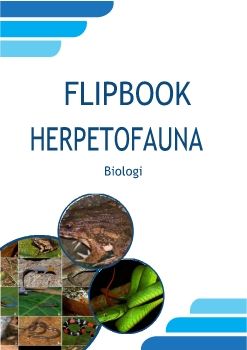 FLIPBOOK HERPETOFAUNA