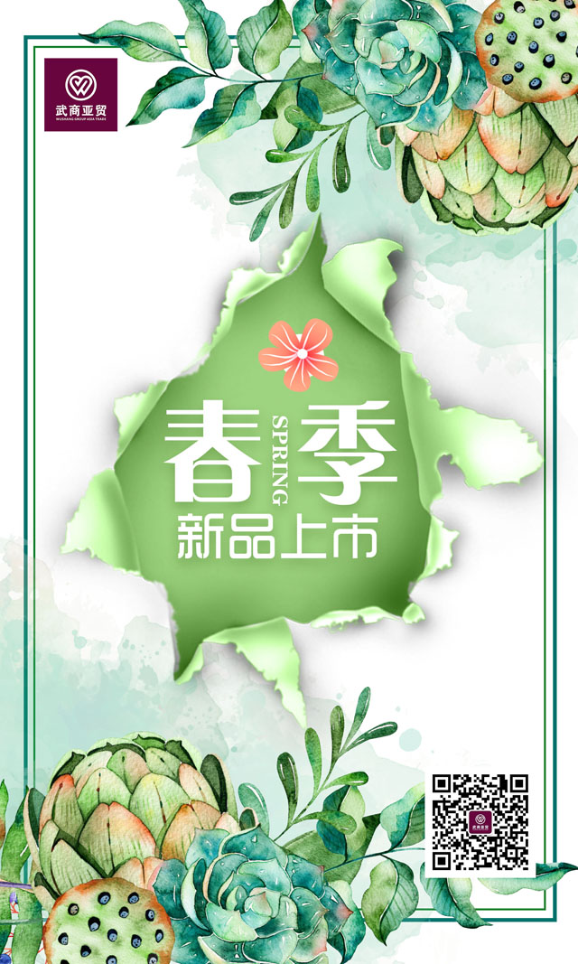 武商亚贸春季DM