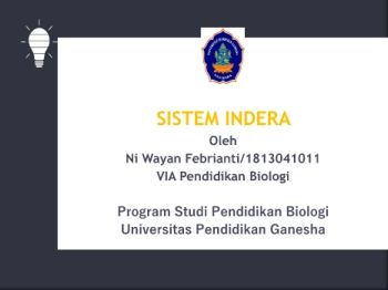ANATOMI SISTEM PANCA INDRA
