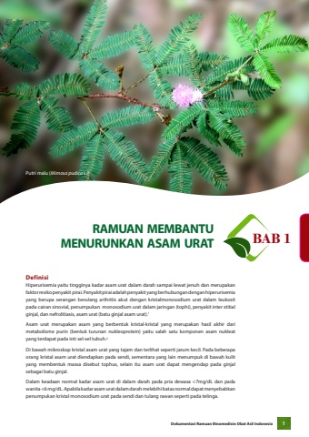 FORMULARIUM EDISI KHUSUS