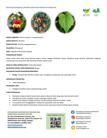 Plant Profile ENG