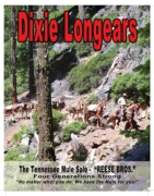 Dixie Longears