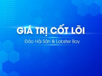 Gia Tri Cot Loi_DHS 2020