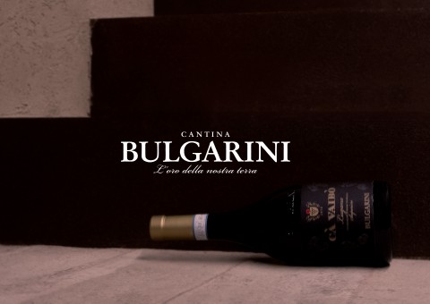 Cantina Bulgarini _2024