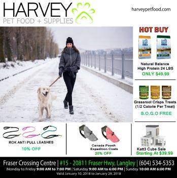 HPF January 2018 Flyer