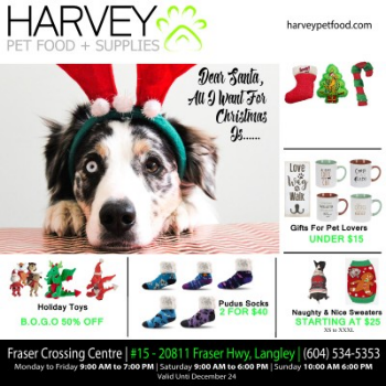 Harvey Pet Food & Supplies Flyer Until December 24 2017