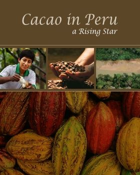 Cacao_en_Peru